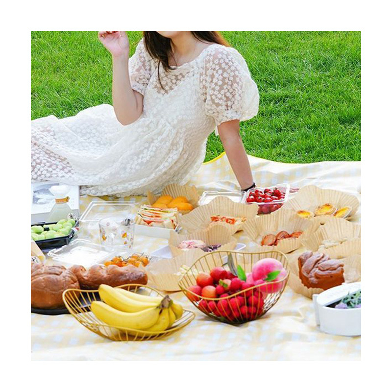 Internet-famous picnic mat moisture-proof mat thickened outdoor picnic cloth camping waterproof cushion portable moisture-proof cloth tent folding