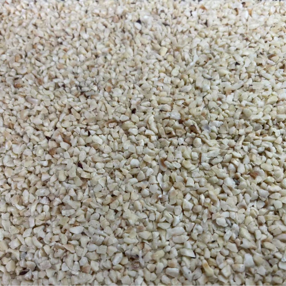 Hazelnut kernel daily nut raw material mix nut raw material peeling hazelnut kernel crushed kernel original cooked 11-13