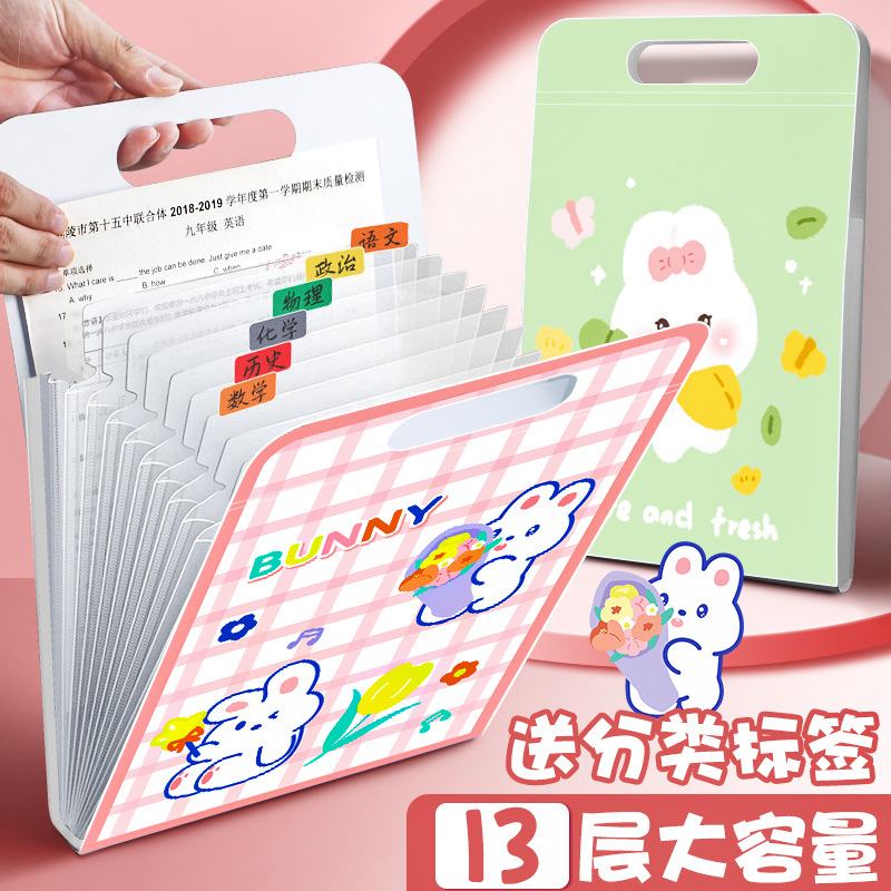 Portable organ bag 13-cell student examination paper storage bag multi-layer large capacity file bag vertical cartoon file bag