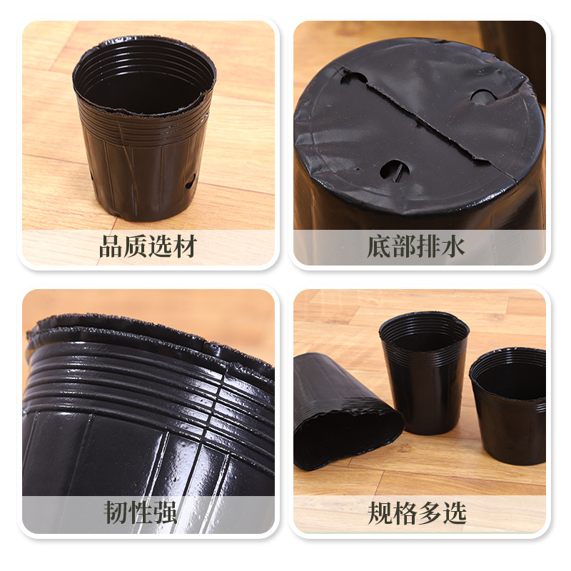 Phalaenopsis Thickened Transparent Nutrient Bowl Seedling Pot Seedling Cup Drainage Breathable Transparent Disposable Flower Pot