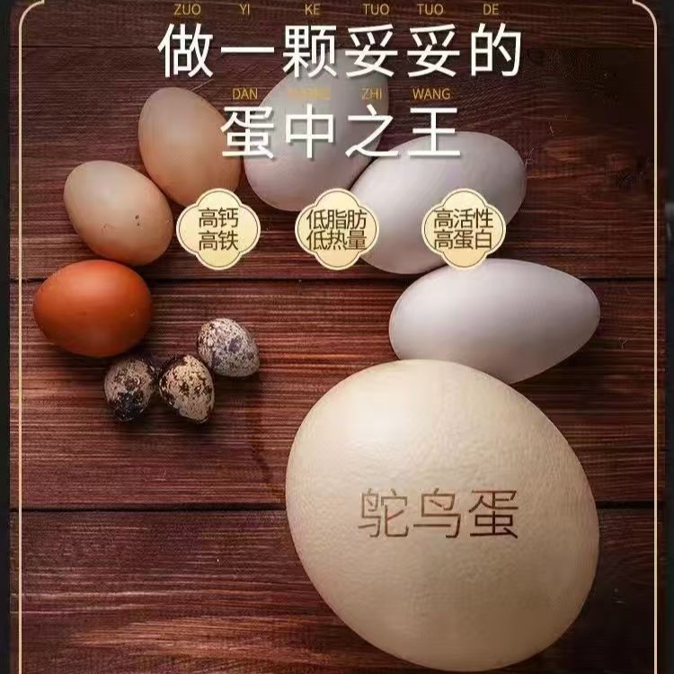 Страусиные яйца, свежие съедобные яйца, большие яйца эму, питательные яйца африканского гигантского страуса, вкусные подарочные коробки