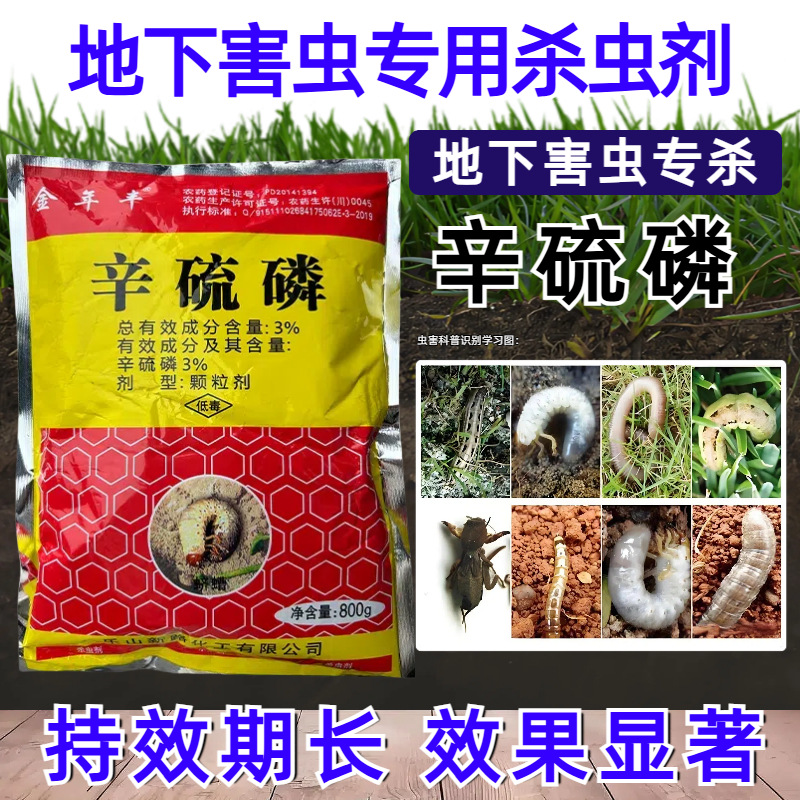Wholesale Purchase of Phosphamid Insecticide Pesticide Phosphorus Granules for Underground Pests, Cutworms, Earthworms, and Needleworms