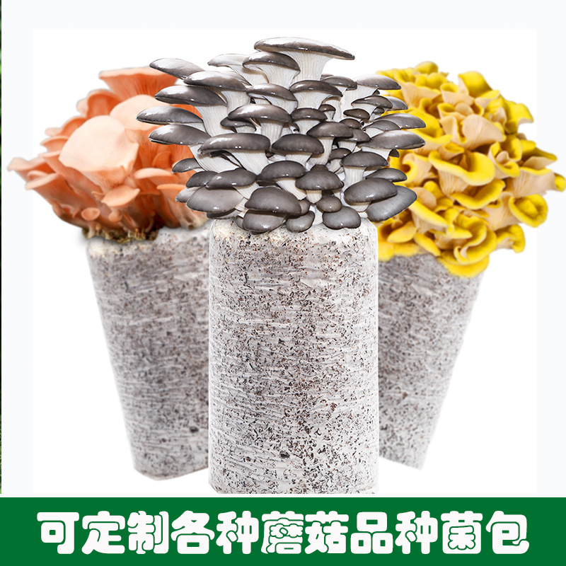 [Wholesale of Small E-Commerce Packages] Mushroom Planting Packages, Mushroom Packages, Flat Mushroom Home Planting Potted Plants, Self-Planting Home Indoor