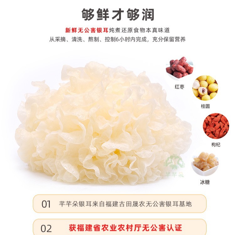 Qianqian Duo Bulk Mid-Autumn Festival Gifts Gutian Tremella Source Manufacturer Freeze-Dried Tremella Soup Ready-To-Eat Breakfast Wholesale