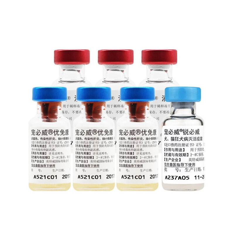 Pfizer Zoetis Vaxxin 5-in-1 Canine Distemper, Parvovirus, and Rabies Vaccine for Puppies and Dogs