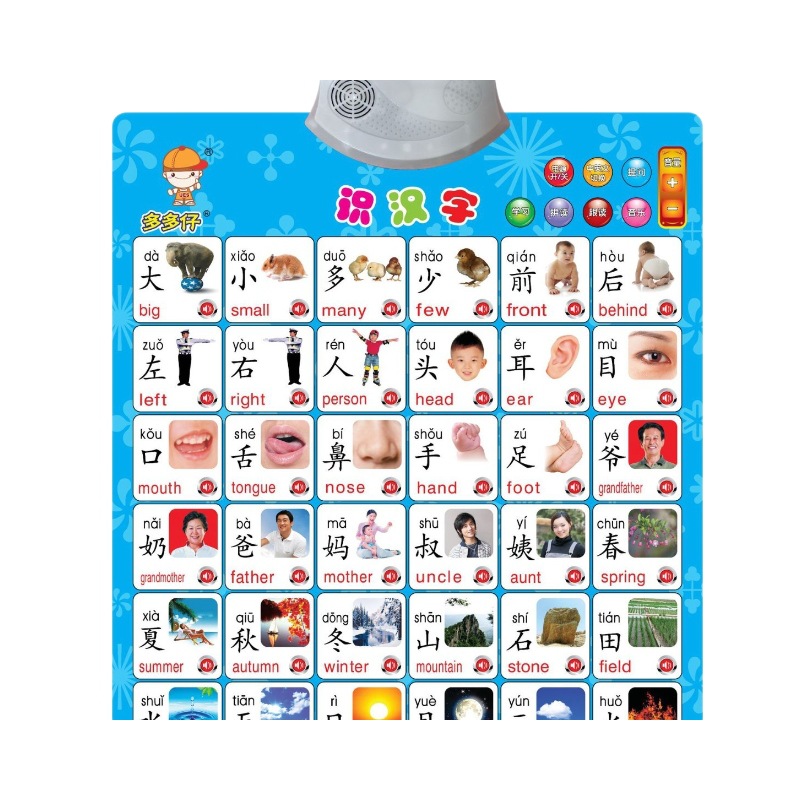 Duoduozai Literacy Audio Wall Chart Wall Stickers Audio Early Education Wall Chart Enlightenment Sound Children's Educational Toys Wholesale