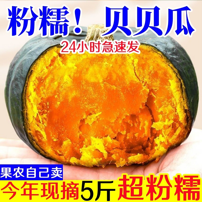 Too Glutinous and Too Sweet] Authentic Beibei Chestnut Pumpkin Baby Food Supplement Fresh Vegetables Beibei Small Pumpkin Whole Box