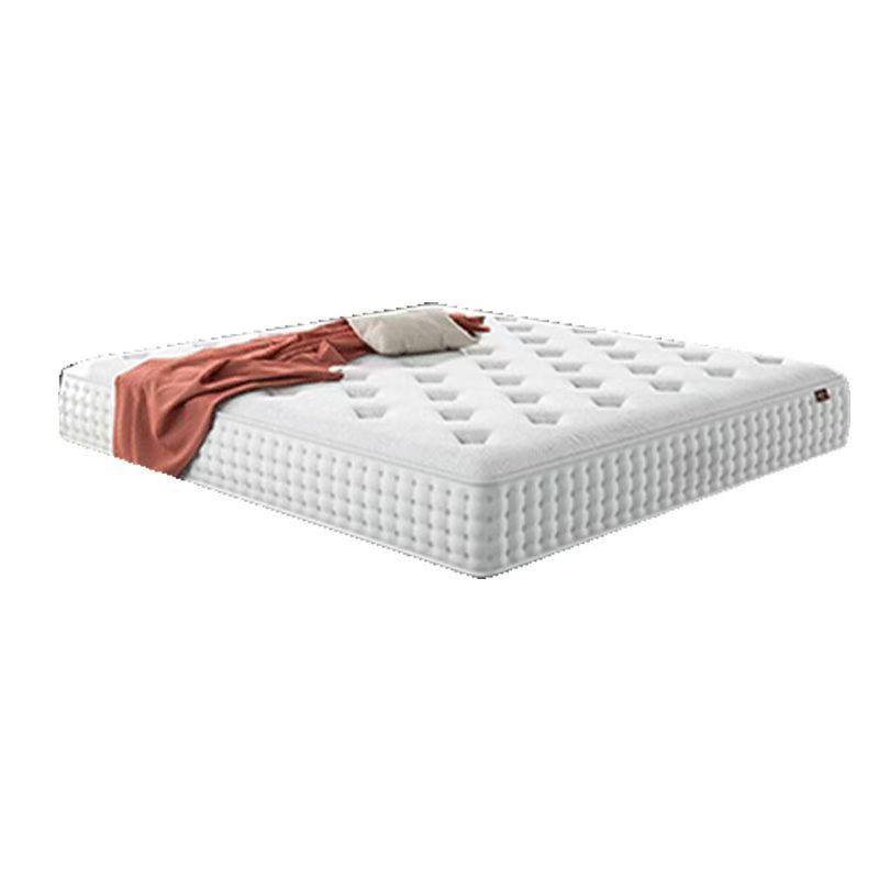 Hilton Star Hotel Individually Packaged Spring Mattress 24-30cm Rolled and Shipped for Home Use Adult Simmons Mattress