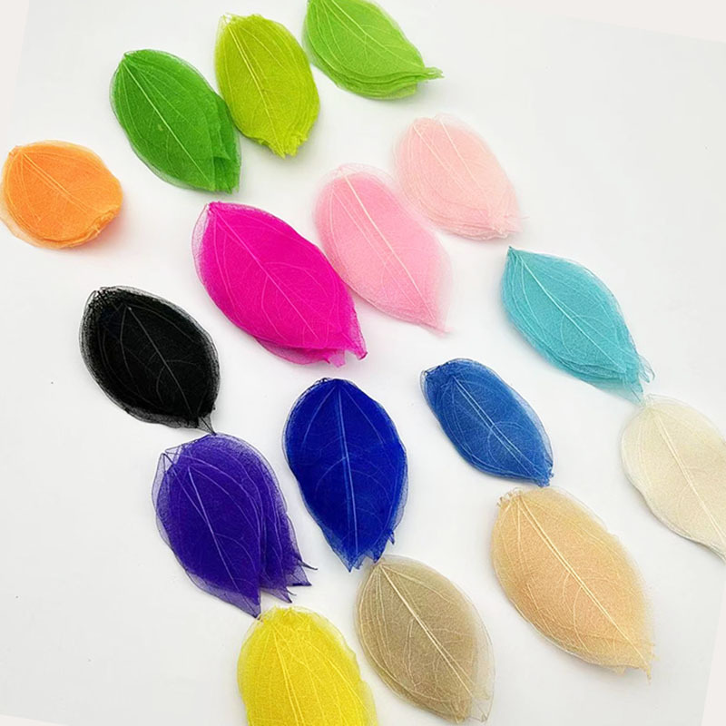 Сухие листья короля Конга, креативный образец растения, закладка, поздравительная открытка