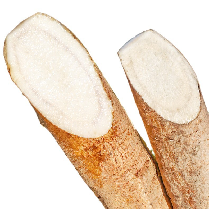 Fresh Burdock Root 2.5kg Lanling Freshly Dug Cangshan Agricultural Products Authentic Wild Golden Beef List Side Pound Tea Slices Wholesale