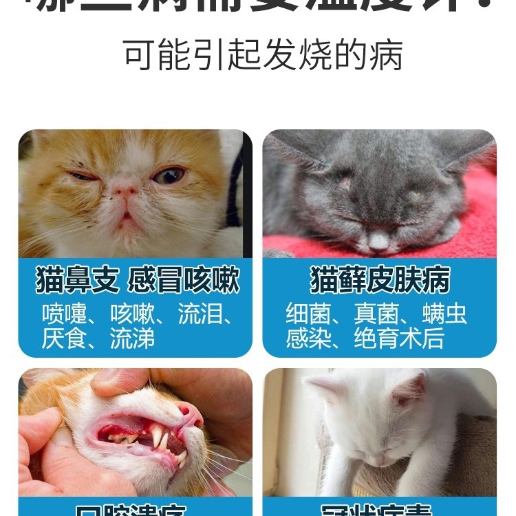 Pet Thermometer Cat and Dog Thermometer Veterinary Anal Digital Thermometer Cat and Puppy Cold Temperature Measurement