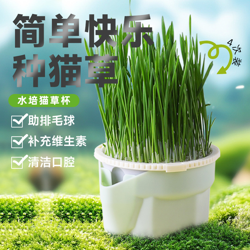 Кошачья трава Sensen в горшке, безземельная гидропоника, ленивый самосев, комплект для кошачьей травы, лакомства для котят, готовая к употреблению кошачья трава