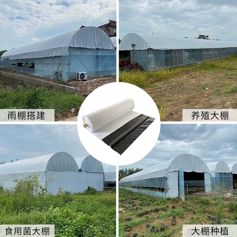 Foreign Trade Cross-Border Delivery Pe Transparent Agricultural Plastic Film Plastic Cloth Thickeneded Black and White Drip-Free Film Greenhouse Film Po Film