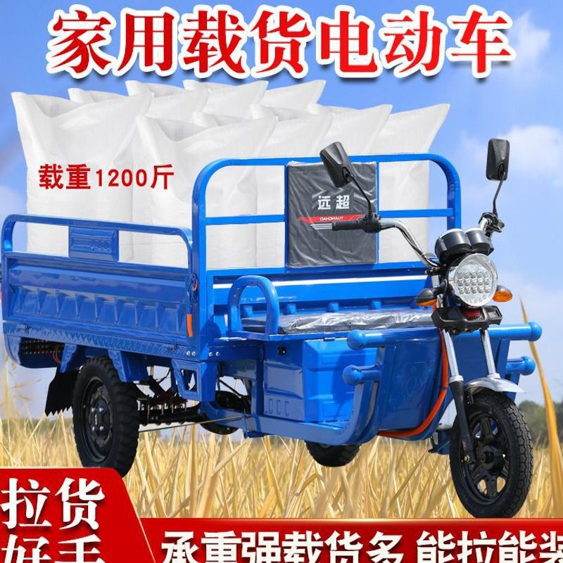 National Standard Electric Tricycle, New Model for Express Delivery, Heavy-Duty Mountainous Area Version, Agricultural Vehicle for Adult Cargo