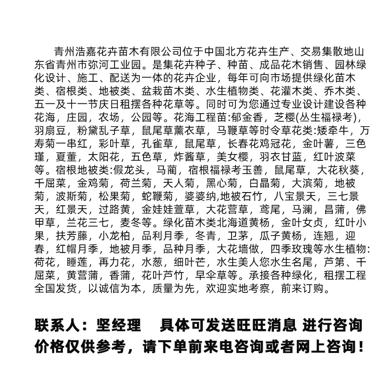 Orchid Panax Notoginseng Seedlings, Lucky Grass Perennial Plant Seedlings, Cold-Resistant Four-Season Evergreen Ornamental Seedlings, Orchid Panax Notoginseng Seedlings