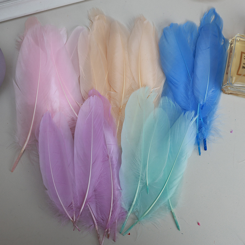 Feather Wholesale Macaron Goose Feathers Kindergarten DIY Colorful Feathers Large Floating Decorative Art Class Materials