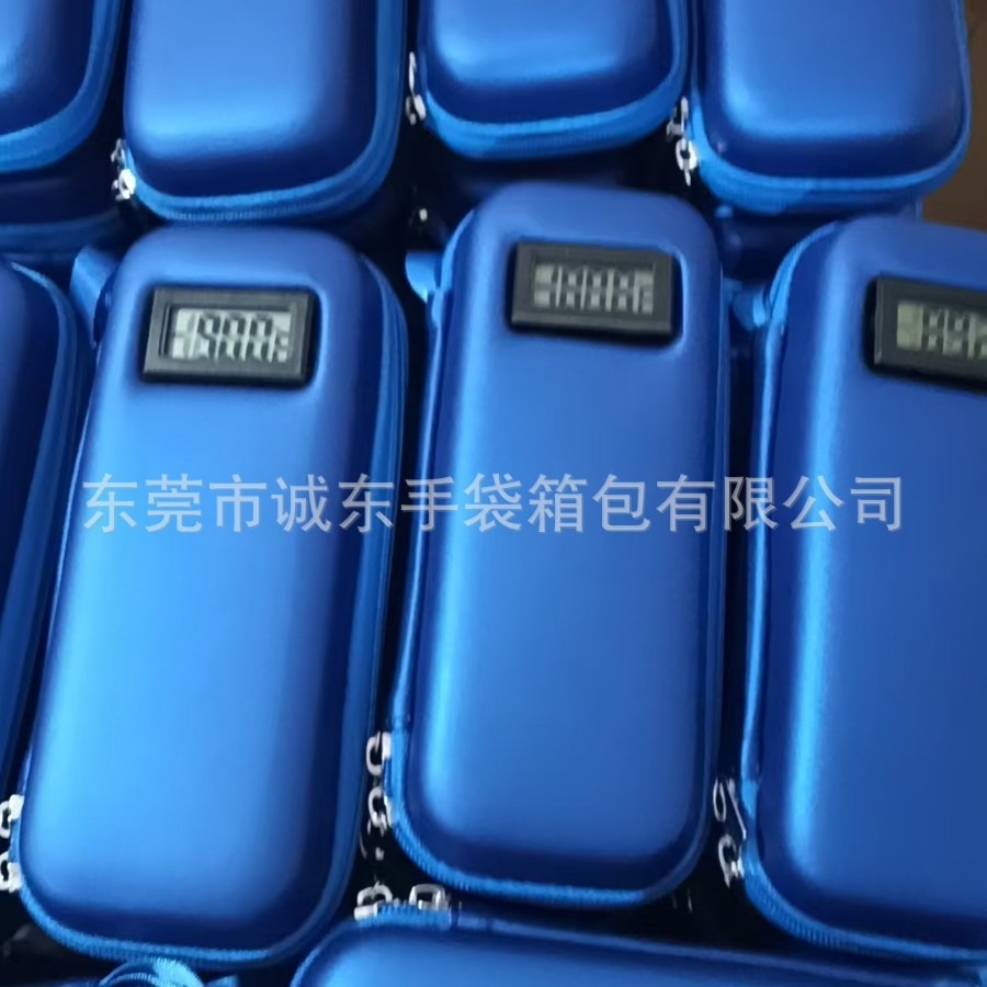 Insulin Cooler with Temperature Display - Refrigerated Medicine Suitcase with 2 Tsa