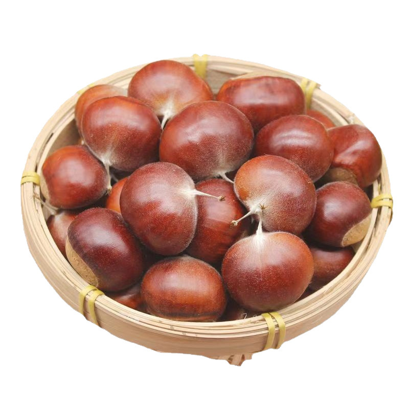 25-Year Fresh Dandong Chestnuts 2.5kg Farm Freshly Roasted Raw Hairy Chestnuts Oil Chestnuts Non-Qianxi