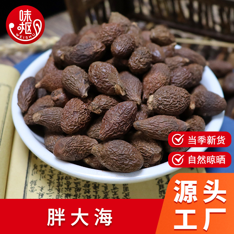 Fatty Sea Chinese Herbal Medicine 500g Bagged for Seasonal New Arrivals, Large Sea Sea Whole Box Wholesale for Soaking in Water and Making Tea