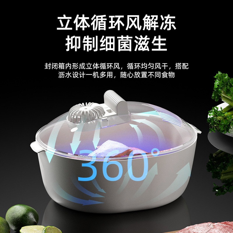 Cross-border new kitchen household thawing device fast meat steak food preservation ice thawing plate factory outlet