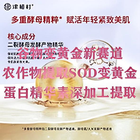 Outsourcing Processing: a Project That an Individual Can Undertake to Convert Agricultural Products into Gold, Specifically Corn Extraction of Plant Protein Peptides