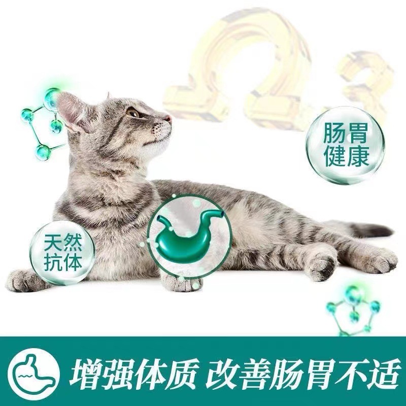 Australian brand favorite (PaddyTime) cat food cat bar universal full price baby cat food 1.1Kg3.6kg fattening