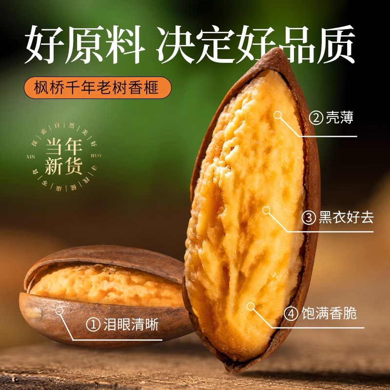 New Arrival Torreya Seeds Wholesale Torreya Fruit 250g Nuts Bulk Casual Snacks Manufacturer Zhuji Specialty Dried Fruit Canned
