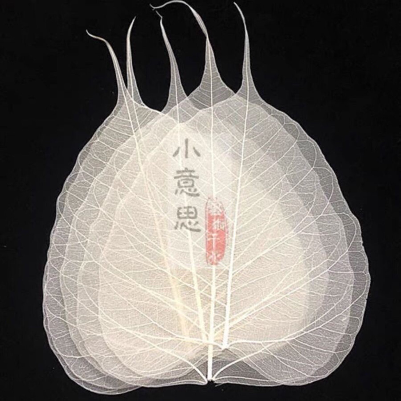 Bodhi Leaf Vein Natural Craft Sticker Leaf Material Handmade diy Cut Out Leaf Specimen Bookmark Embossed Painting