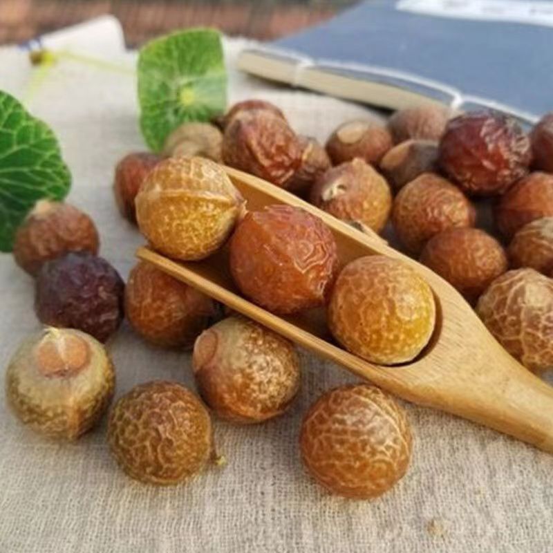 Soapberry Selected Grams of Fresh Dry Goods for Shampooing and Hand Washing, Whole Soapberry and Soapberry Peel, Chinese Medicinal Materials Quality Assurance