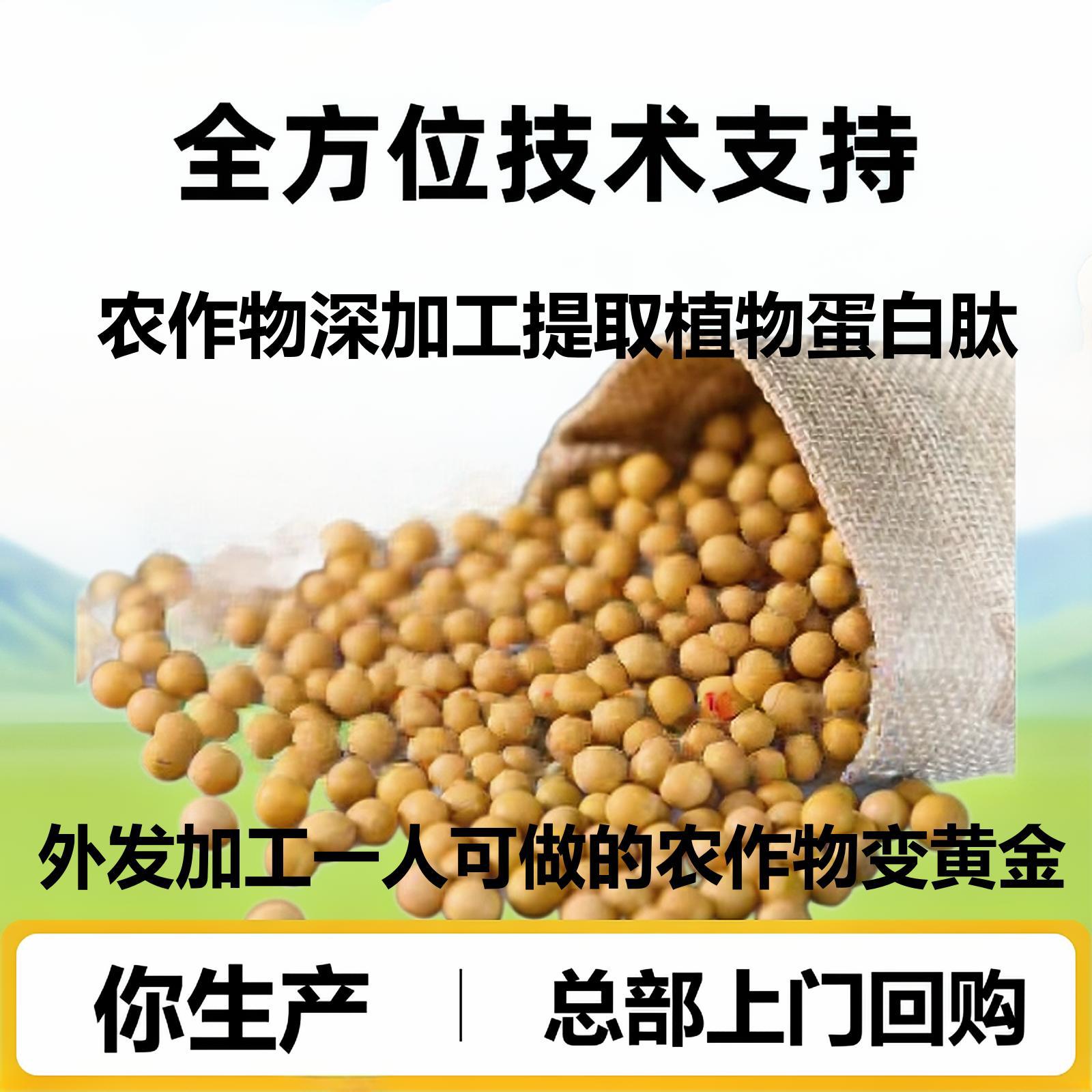 Grain-To-Gold Plant Protein Peptides Are Deeply Processed with Full Attention, Providing Support for Entrepreneurship, Technical Support, and Repurchase Support