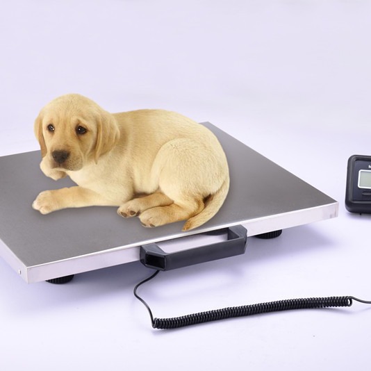 52x 42см многофункциональные комбинированные весы и счетчики электронные платформенные весы для здоровья домашних животных
