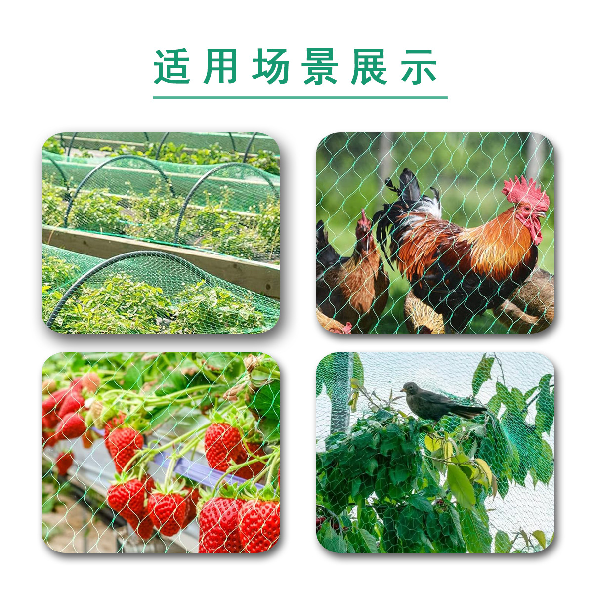 Cross-Border Gardening Anti-Bird Net One-Way Extrusion Single Wire Protective Net Agricultural Household Anti-Hail and Anti-Bird Net Bird Net