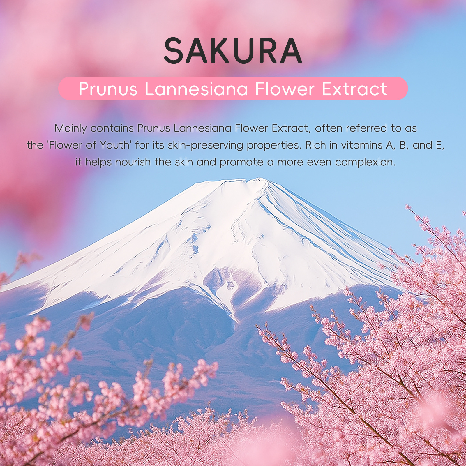 Laikou Japanese Sakura 4-Pack 2g Single-Pack Skin Care Product Set Small Bag Cross-Border Manufacturer Supply