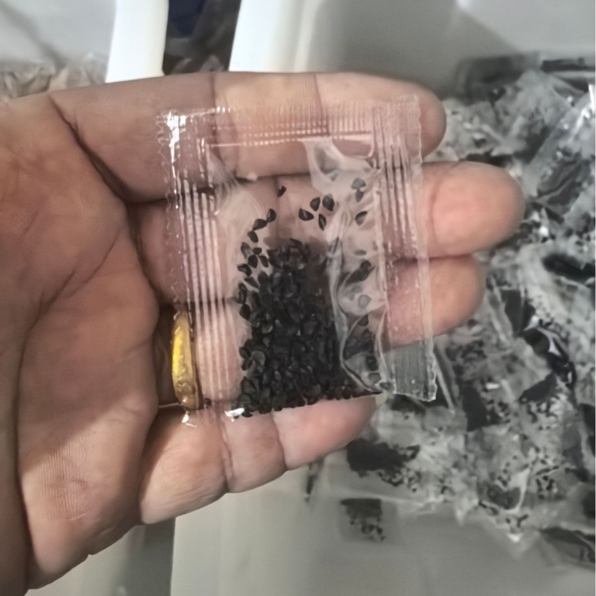 Оптовые подарки для студентов детей семена овощей и цветов маленькая упаковка дропшиппинг и обработка бесплатная доставка