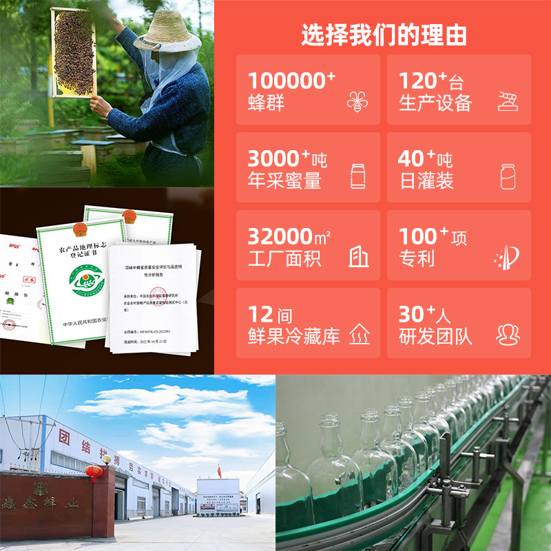 Customized Fruit Wine, Grapefruit, Slightly Tipsy Sweet Wine, Women's Low-Alcohol Wine, Green Plum, Blueberry, Fruity Wine, Oem Small Bottle Wine, Sample