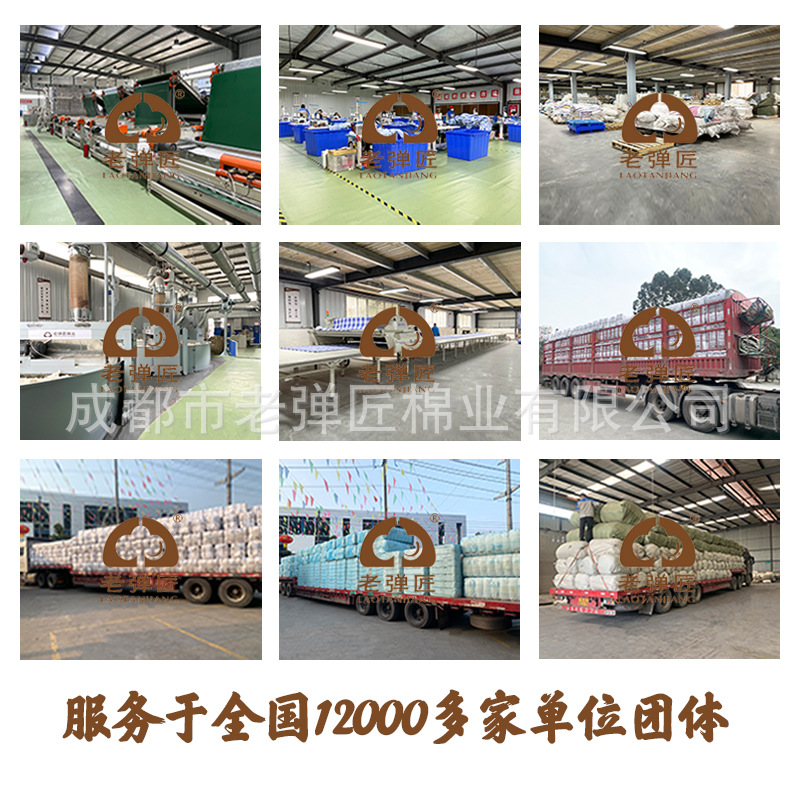 Wholesale Edged Student Dormitory Winter Warm Quilt Quilt Cotton Mattress Cotton Tire Cotton Quilt Thickeneded Quilt