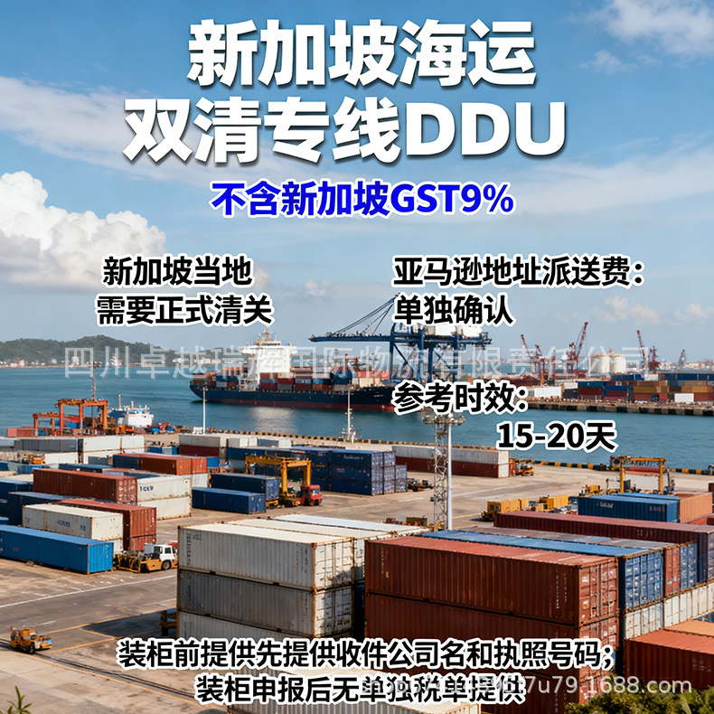 Singapore Shipping Dual-Clearance Dedicated Ddu Service Limited-Time Special Offer Professional Digital Logistics Small Package Large Cargo Sufficient Warehouse Space
