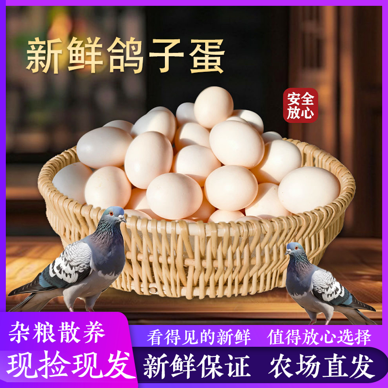 Свежие яйца голубей, 12 штук, для беременных женщин и детей, фермерские зерна, свободно гуляющие белые яйца, бесплатная доставка