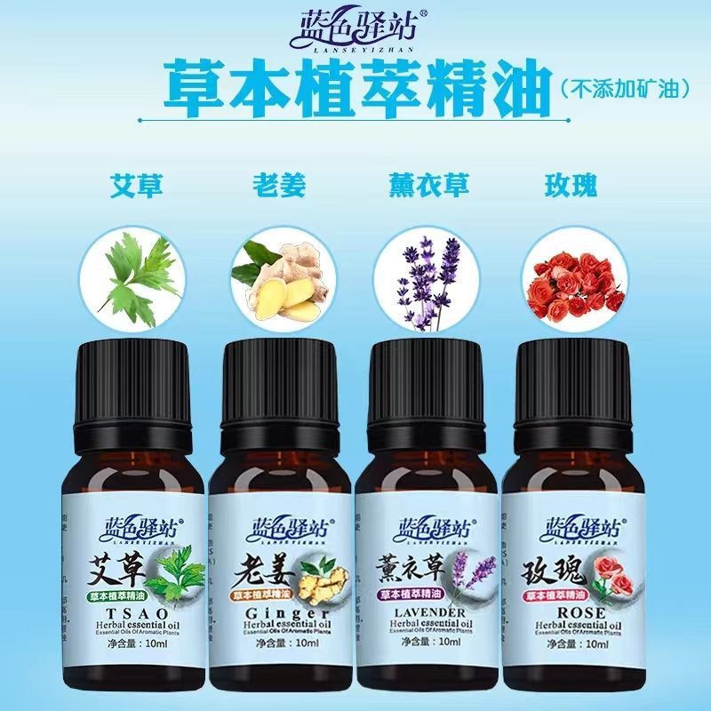 Mugwort Essential Oil Massage Rose Lavender Plant Scraping Massage Open Back Meridian Body Massage Essential Oil Wholesale