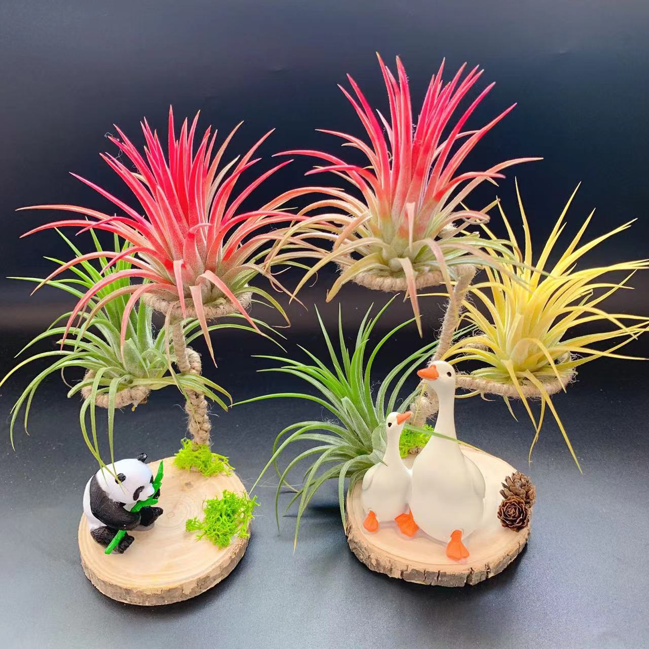 Воздухопроницаемый ананас, базовые прямые волосы, сервировка стола, различные комбинации растений и аксессуаров, праздничные сувениры, маленькие подарки