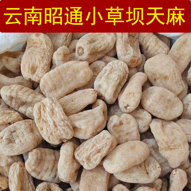 Гастродия элата Юньнань Чжаотун, подлинные товары, таблетки и порошок