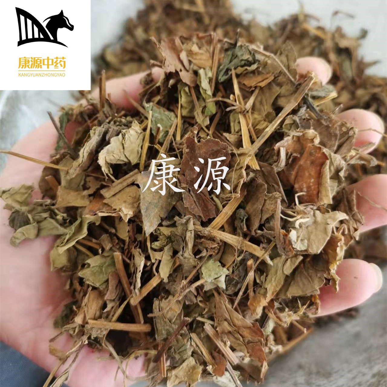 [Канцюань] Оптовая Продажа Китайской Травяной Медицины Хуттуния Килограмм Цена Натуральная Высококачественная Хуттуния Лекарственная Культура Возможна