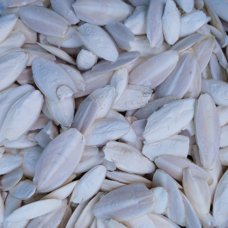 Premium Small Raw Material of Cuttlefish Bone, Pure Natural Desalination, Parrot Bird Teething, Hamster Climbing Pet Chewing Cuttlefish Bone