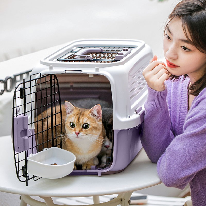 Cat Air Case Pet Consignment Outgoing Portable Portable Cat Cage Cat Bag Dog Vehicle Transport Case Supplies