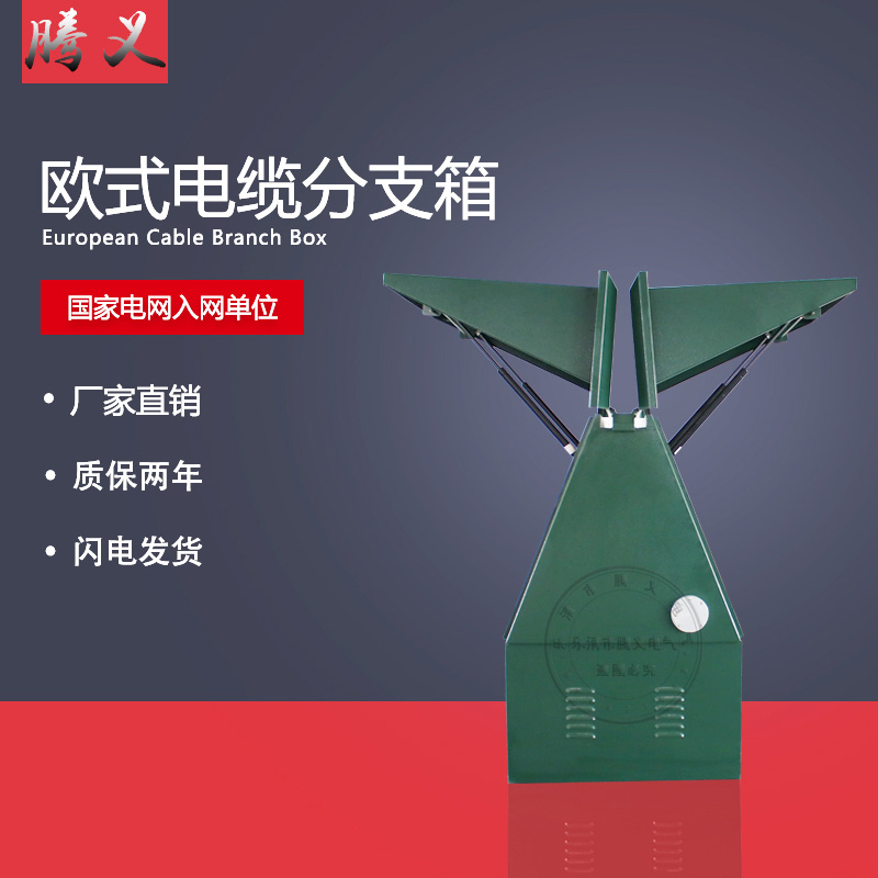 10Kv European Cable Branch Box One in and One Out Dfw-12/630 Outdoor High Voltage Stainless Steel Plug-In Tap Box