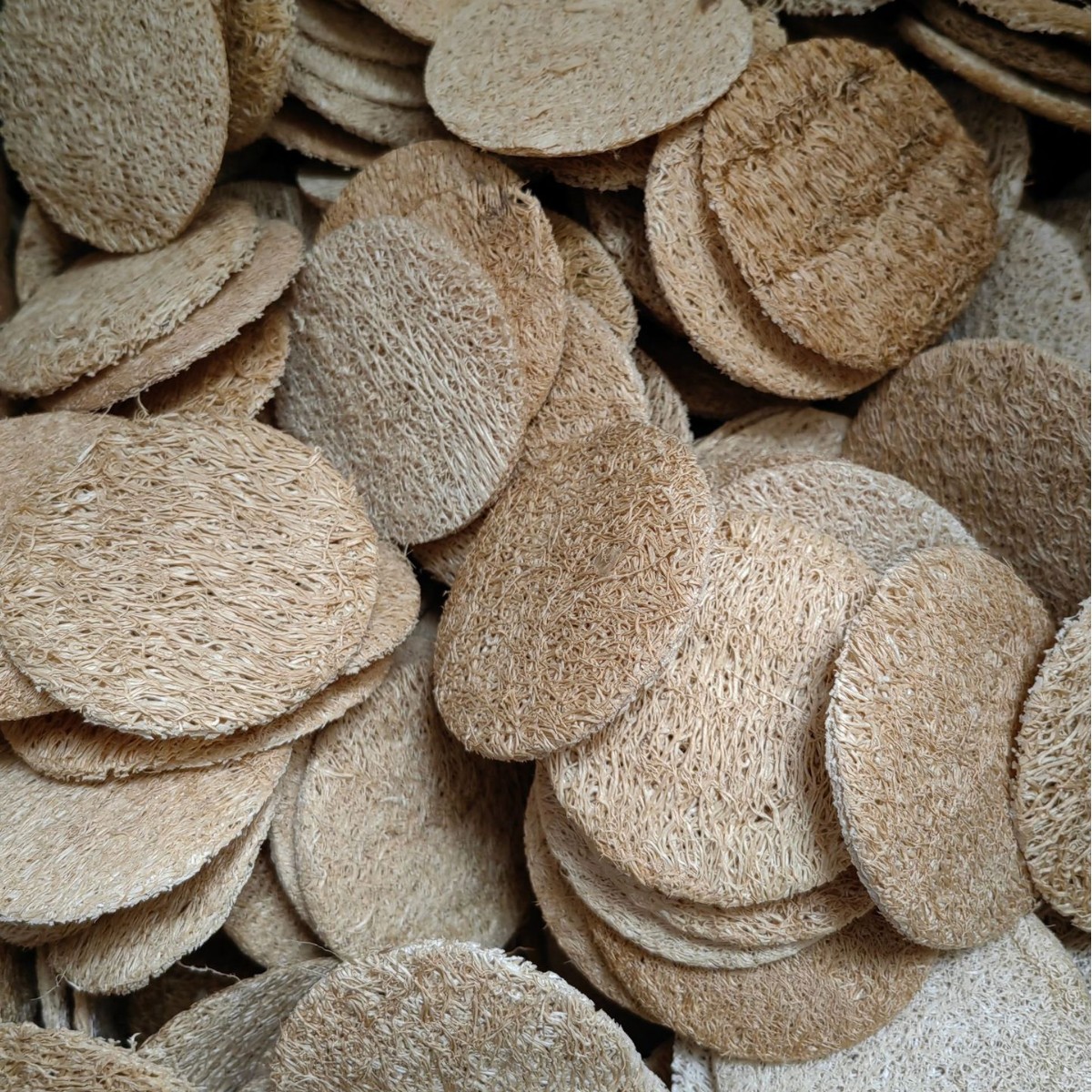 Source factory wholesale loofah facial multifunctional makeup remover in stock wafer cleansing exfoliating face loofah