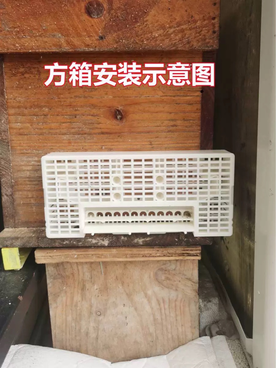 New Eighth-Generation Top-Grade No. 8 Bee Divider, Medium Bee Automatic Bee Divider, Drone Bee Filter Artifact, Round Barrel Third-Generation Bee Divider