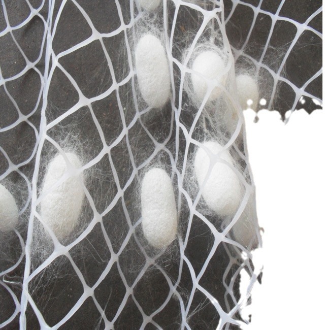 Student Silkworm Rearing Set, Silkworm Cocoon Net, Silkworm Net, Plastic Silkworm Net, Silkworm Net, 20*30cm