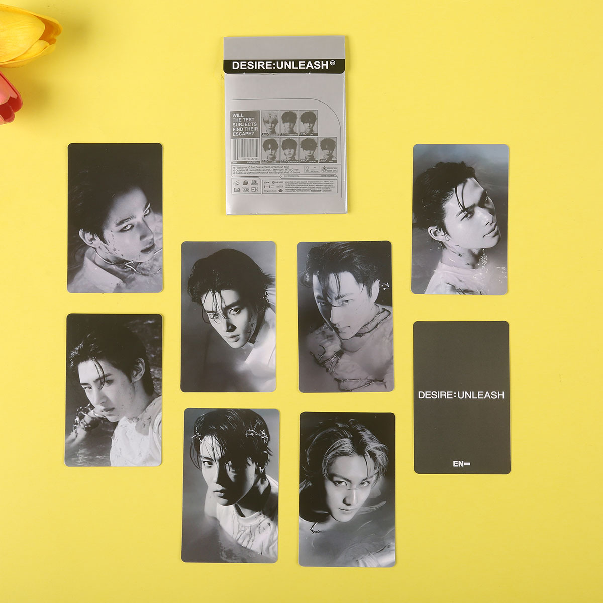 Enhypen Lee Seung-Yeon, Park Cheng-Hyun, Park Jong-Seong Sixth Album Desire Photocard