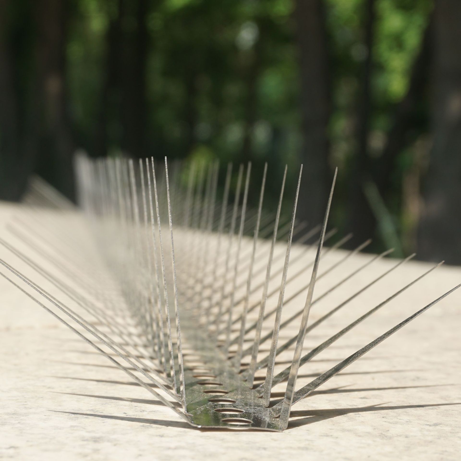 Stainless Steel Plate Outdoor Balcony Fence Anti-Cat Climbing Spikes School Fence Steel Spikes Customization